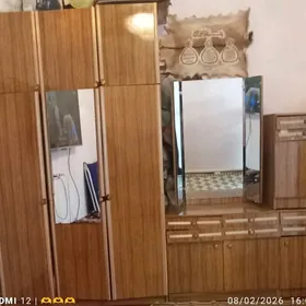 şfaner tummuçkalary bilen