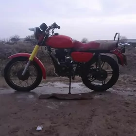 Fekon FK200-14G 2019