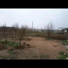 Gokdepe Garry kariz bosh melle