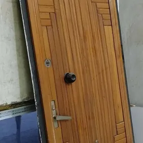 железная дверь