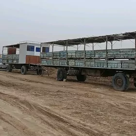 Bal ary prisebi bilen