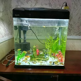 аквариум akwarium