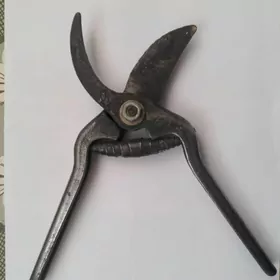 Секаторы ножницы садовые (Bag gayçy)