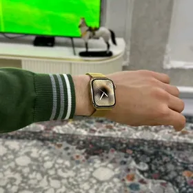 Apple Watch 8 Steinles 100%