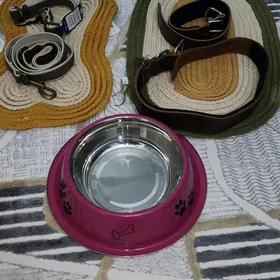 ошейники для собак