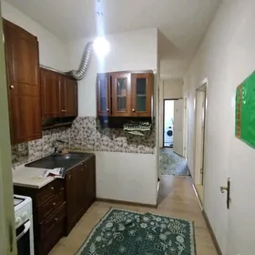 Arenda jay Talyplara kwartira