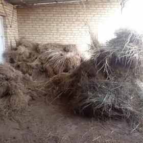 bogulan Mellek oty bar