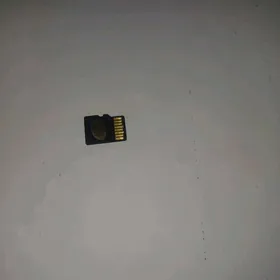 cip 4 arginal dubayski