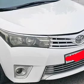 Kapot Bamper Krilo Fara