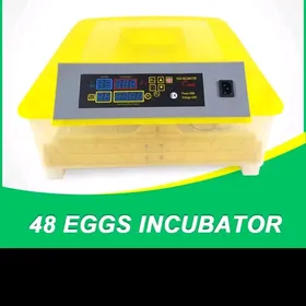 инкубатор 48 inkubatorv48