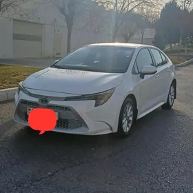 Toyota Corolla 2021