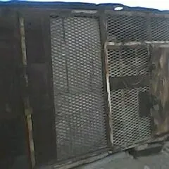 ️Demirler gurlușyk űçun🟢