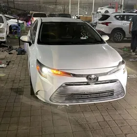 Toyota Corolla 2023
