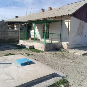 satlyk jay gyzylarbatda