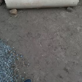 Азбис  турба