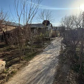 Taze bazaryn yanyndaky daca