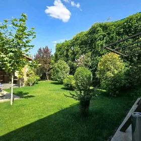 GÜNLÜK ÝEREWANISKI PLAN FULL