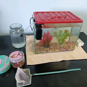 Akwarium 14lt balyklar bilen