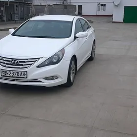 Hyundai Sonata 2010