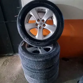 17lik sienna radnoy disga