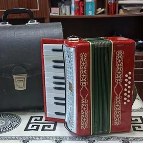 Гармонь "малыш"