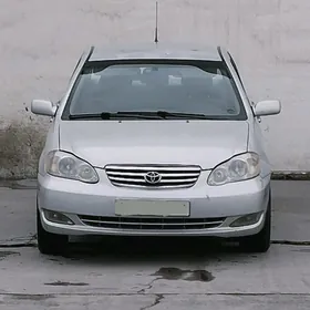 amortizator carolla 2003-06