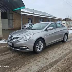 Hyundai Sonata 2010