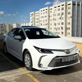 Toyota Corolla 2023