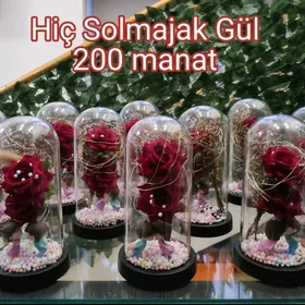 Owadan Gül Söýgüliler üçin