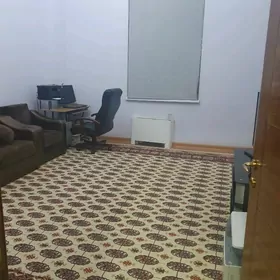 kwartirant aljak  talip gyz