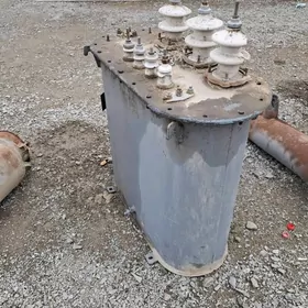 tyraswarmatyr dasy kotpys