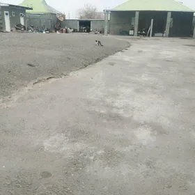 Шор Гардамак