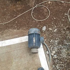 матор двигитель