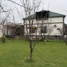 Bagyr mirewe mansardaly jay