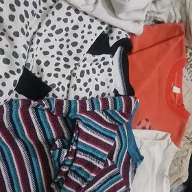 chagalan zempri switr