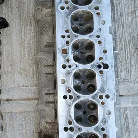 galowka 2.5  1 vanus