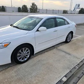 Toyota Camry 2010