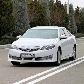 Toyota Camry 2013