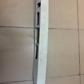 sienna bagajda otyryan yazgy