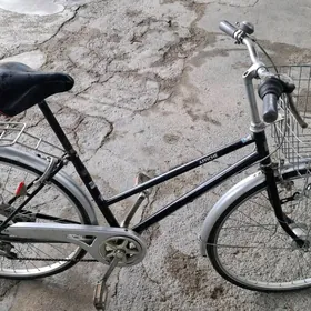 Tigir arginal ýapoşka 27 lik