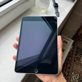 IPad mini 4 +celluar