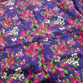 гадым паплин