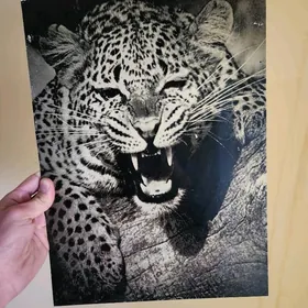 Leopard şekilli diwar kartina