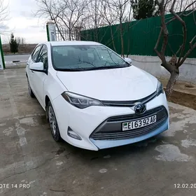 Toyota Corolla 2019