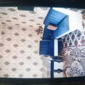 Satlyk jay Parahat 7/2