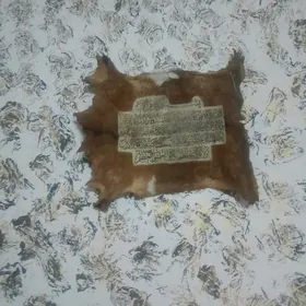 кейгин дерсинен язгили курси