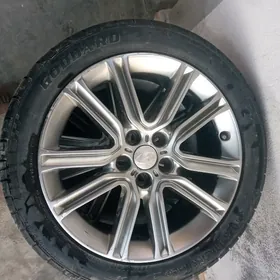 Diska tigir   18 245 45