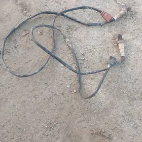 impus datjik tuwarek