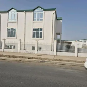 Satlyk Gami Gos Kotej 12 Sotyk