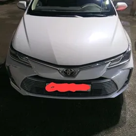 Toyota Corolla 2021